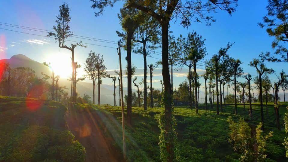 Bed and Breakfast Gruenberg Tea Plantation Haus Munnar Exterior foto