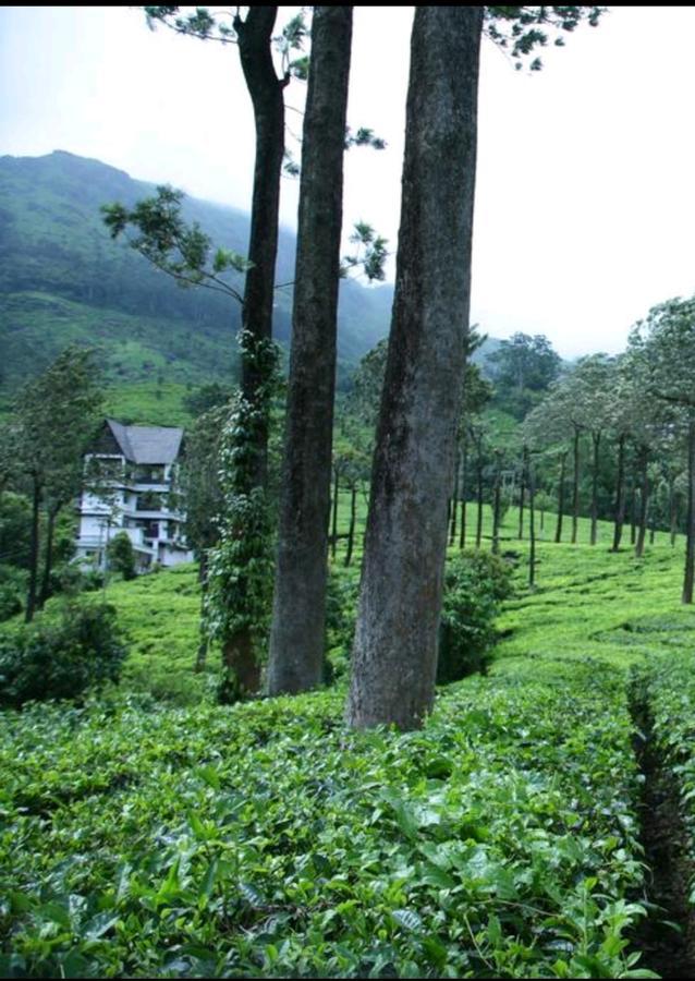 Bed and Breakfast Gruenberg Tea Plantation Haus Munnar Exterior foto