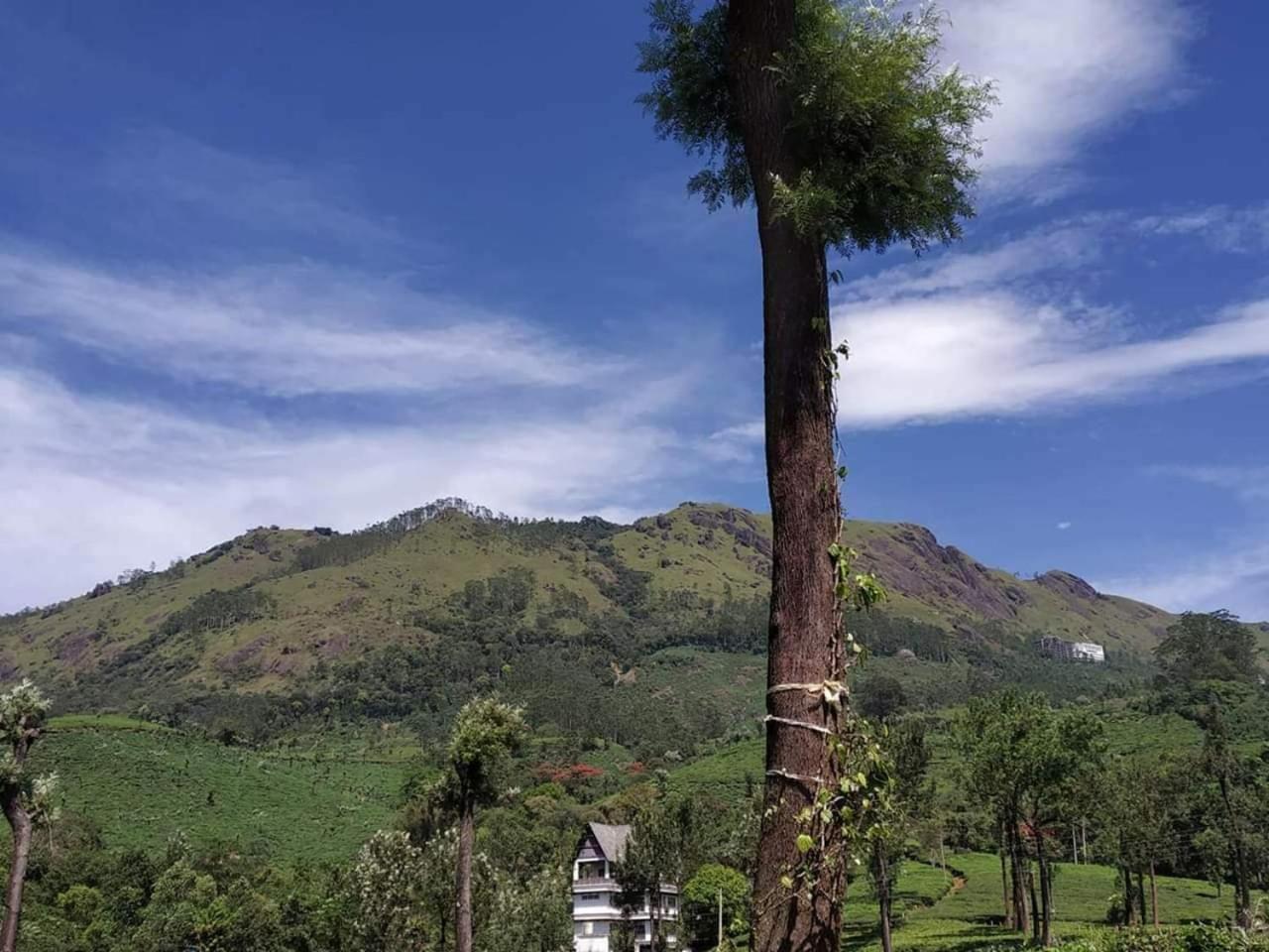 Bed and Breakfast Gruenberg Tea Plantation Haus Munnar Exterior foto